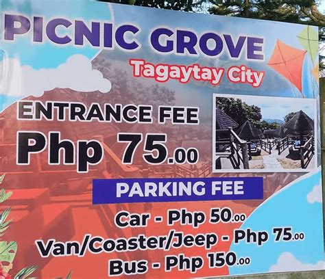 PICNIC GROVE (2024) All You Need to Know .
